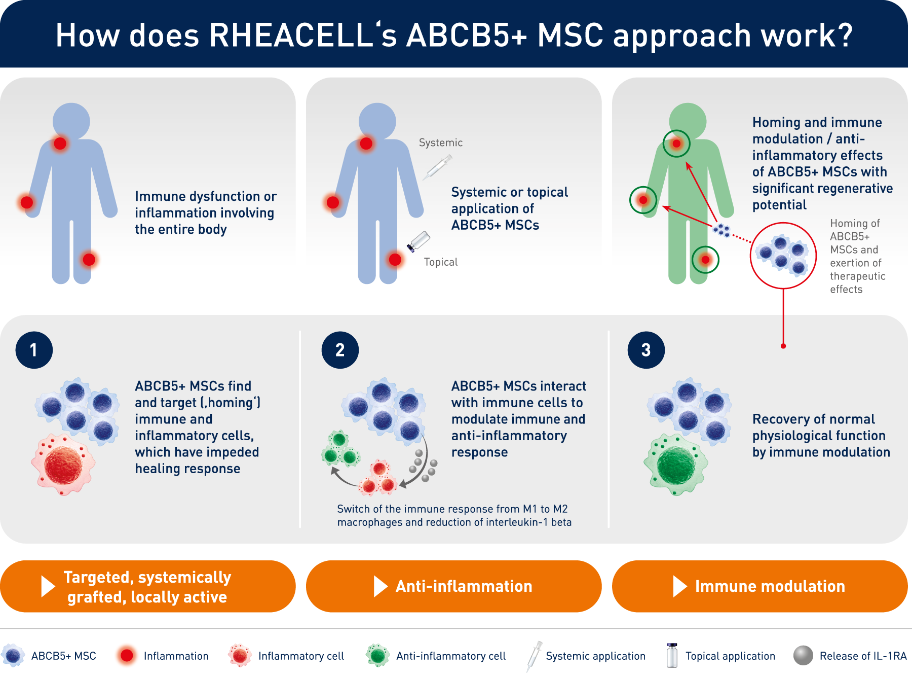 rheacell-technology-003-en